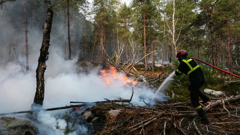 7051916d-ee9c-4bb5-b85f-d3290181d53b Incendies dans la forêt de Fontainebleau : progrès et enquêtes en cours