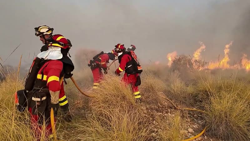 7144e93f-215e-4da8-9c92-af92ddf63af0 Incendie en Andalousie : Bilan des Victimes