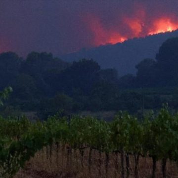 751e651f-6591-486e-bd4f-14f0bcc7efc3 Les incendies en France : intervention et évacuations