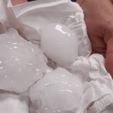 La canicule et les incendies en France : une situation préoccupante