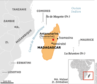 80e11779-56bf-4e7f-bb84-cc4654b4de67 Un baobab millénaire de Madagascar en péril