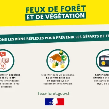L&rsquo;adaptation des agriculteurs du Finistère face à la canicule et aux risques d&rsquo;incendie