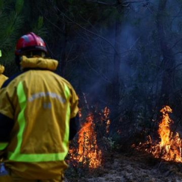 85cb6f20-69a5-4856-8295-5339117ec18c Les risques du tourisme des incendies en Gironde