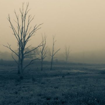 Rainer Maria Rilke et Le Livre de la Pauvreté et de la Mort
