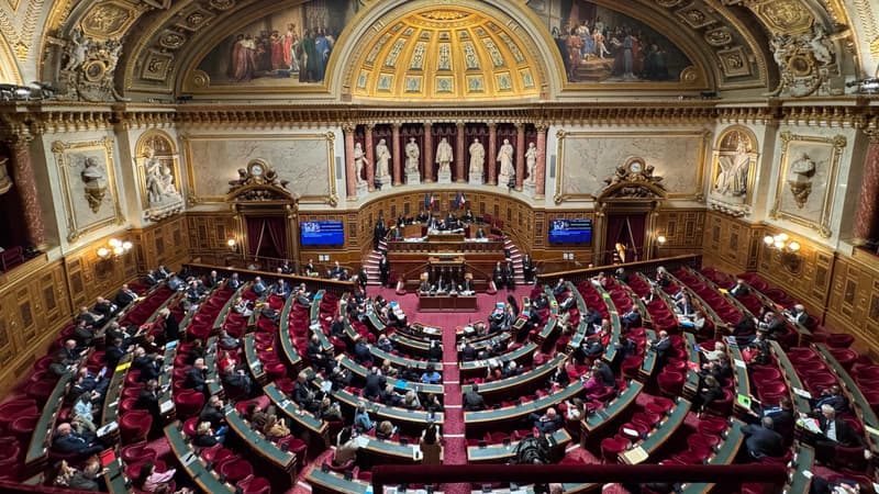 878350dd-926a-4bc0-9946-bb446451c848 Sanction exceptionnelle au Sénat: Christine Herzog exclue