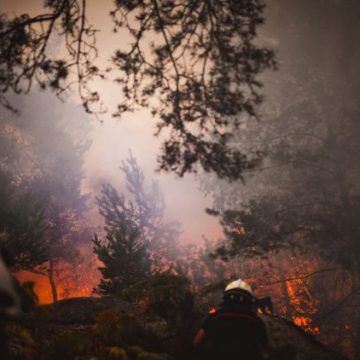 92f6ada3-576a-41d6-86c3-c3d2b6d46273 Deux suspects placés en détention provisoire après les incendies de Fontainebleau