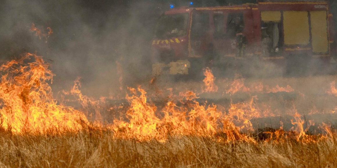 93ed8a65-fa9d-48f4-bf6b-f9b9a02ca7fc Incendies en Gironde : le combat des pompiers