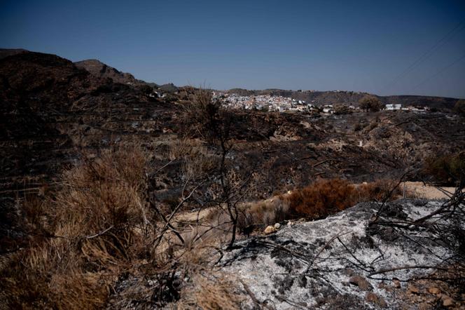 948bb0d6-6df4-4b05-8801-9afd5280885c Identification des victimes de l’incendie en Andalousie