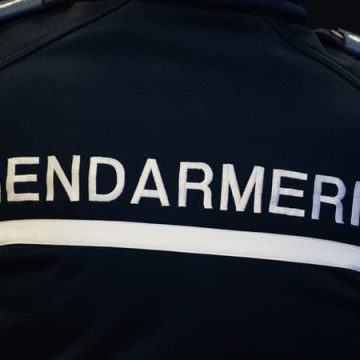 966e0d61-ffed-4160-b008-5c38b8480082 Mise en examen d’un patron d’écuries pour viols à Templeuve-en-Pévèle