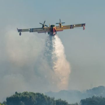96f8cc23-306e-4fe0-8885-78f8e6a3a8db Des incendies dévastateurs dans le Sud de la France