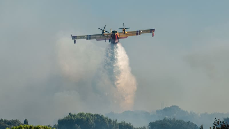 96f8cc23-306e-4fe0-8885-78f8e6a3a8db Des incendies dévastateurs dans le Sud de la France