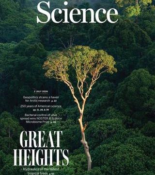Les arbres les plus hauts résistent mieux à la sécheresse