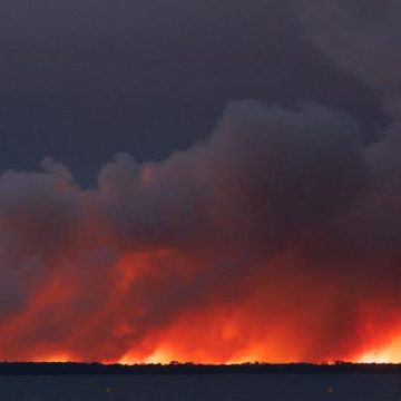 Incendie Apocalyptique à Biscarrosse : Chevaux En Détresse et Habitants Évacués
