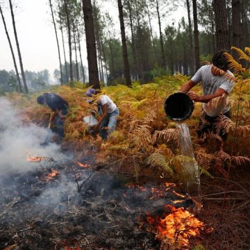 A view of a wildfire near Lacanau Les habitants luttent contre les incendies en Gironde