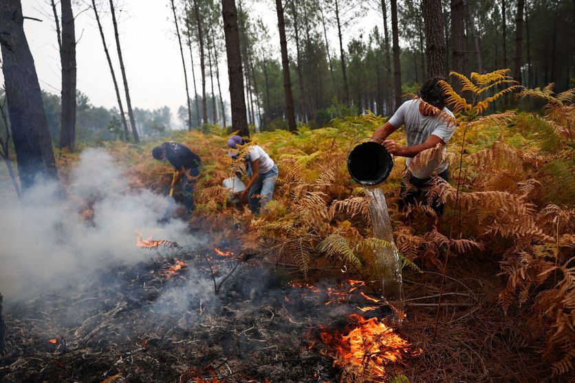 A view of a wildfire near Lacanau Les habitants luttent contre les incendies en Gironde