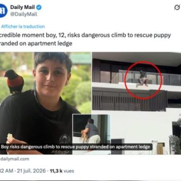 Un garçon de 12 ans sauve un chien coincé sur un balcon