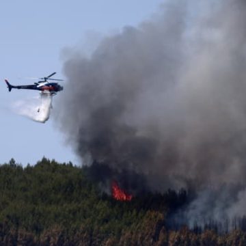 Incendie dans le Var : Situation Stable Mais Vigilance Maintenue