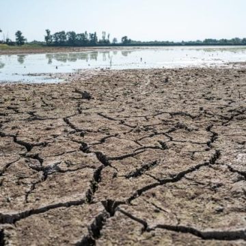 9e66d04c-e245-4532-a6dc-389aa589abe0 Le projet de loi pour la protection agricole au cœur d’un débat parlementaire