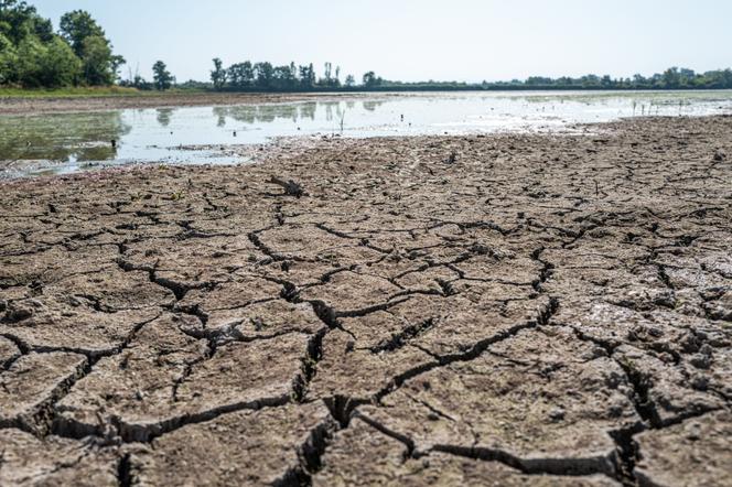 9e66d04c-e245-4532-a6dc-389aa589abe0 Le projet de loi pour la protection agricole au cœur d’un débat parlementaire