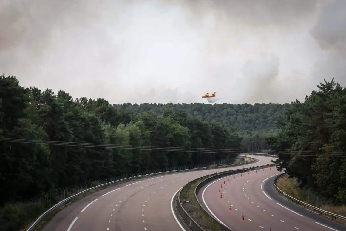 a06a7560-ec05-48d0-89e0-0c1542b2eeaa Incendies à Fontainebleau : Un impact sur la biodiversité