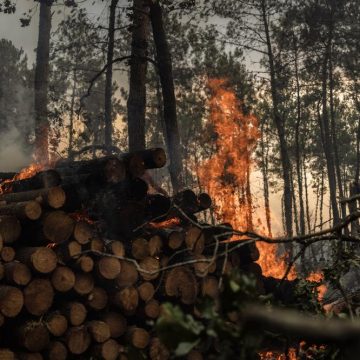 a335b254-971d-4ad8-81ee-e6957497774c Les incendies en Espagne et en France : un bilan alarmant