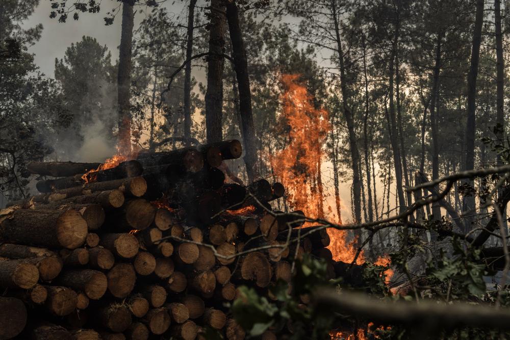 a335b254-971d-4ad8-81ee-e6957497774c Les incendies en Espagne et en France : un bilan alarmant