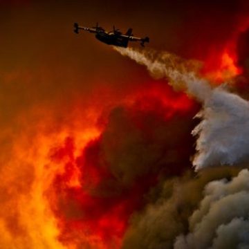 ad2db4d9-6a9b-44e5-abc7-5effccd96458 La Corse en flammes : les incendies continuent de ravager la région