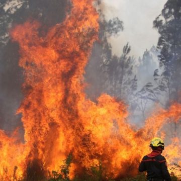 aecfb4ab-2c9a-4550-9140-1c38088b1e1b L’incendie dévastateur en Gironde : un phénomène inédit