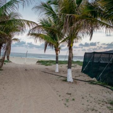 Tremblement de terre de magnitude 7,3 au Mexique : Alerte tsunami lancée