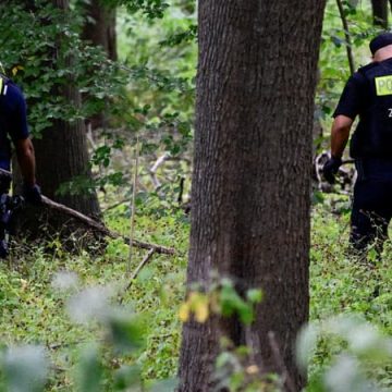 Opération policière à Berlin : décès du suspect après une attaque à la gay pride