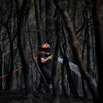 Pompiers en Lutte Contre les Incendies dans le Var