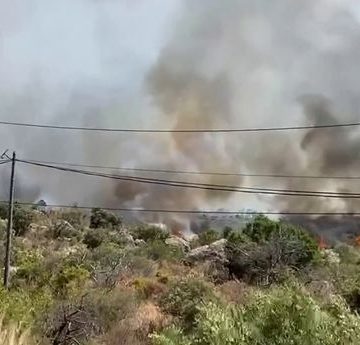 Les Incendies et Leur Impact sur le Changement Climatique