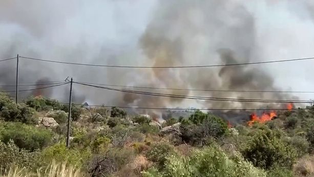 c1b62185-c02d-4a22-8655-03c45b9efdcb Les Incendies et Leur Impact sur le Changement Climatique