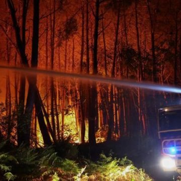 Flamap : un nouvel outil pour suivre les incendies en temps réel