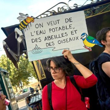 Pesticides : un choix controversé du Parlement et du gouvernement