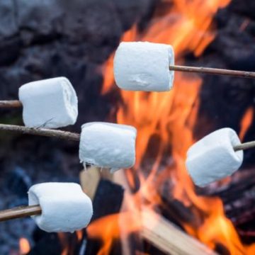 Accident tragique lors d&rsquo;un barbecue en Australie