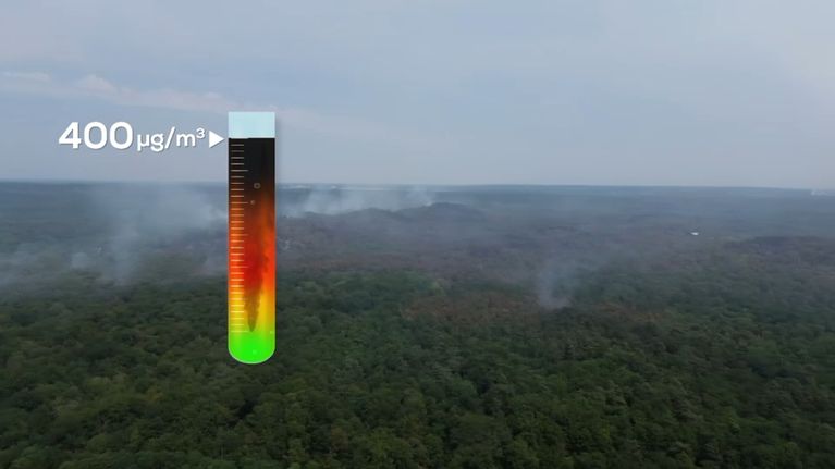 c80b66ea-a8fa-4abf-9ca3-4da9a7ca7392 Incendies dans la forêt de Fontainebleau : Impact sur l’air et l’environnement