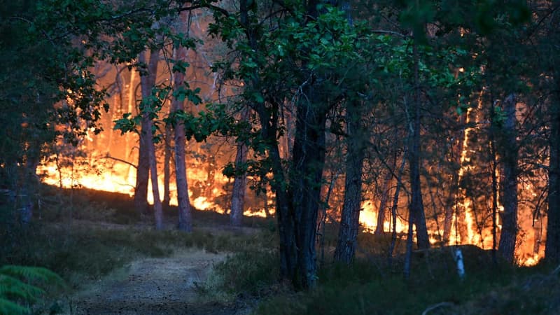 d1f906b5-69d5-4197-a2f4-9c4f90f05250 Deux ouvriers mis en examen pour un incendie en forêt de Fontainebleau