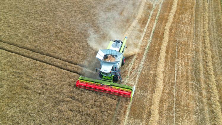 dd767627-cf2b-41a5-ab8f-0f13678426e7 Baisse préoccupante de la production de blé en France en 2026