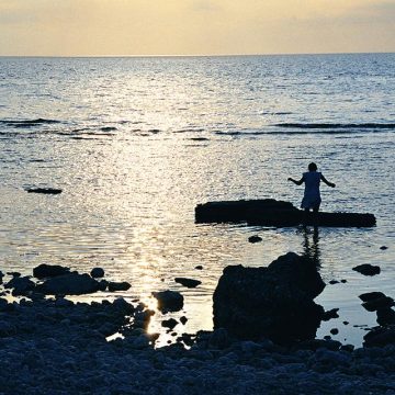 L&rsquo;Île de la Baltique et l&rsquo;Héritage d&rsquo;Ingmar Bergman