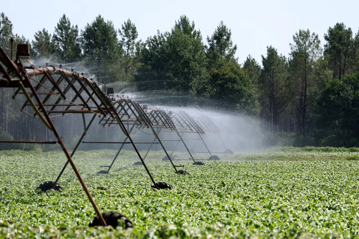 L&rsquo;eau: un bien commun ou une ressource à gérer pour l&rsquo;agriculture?