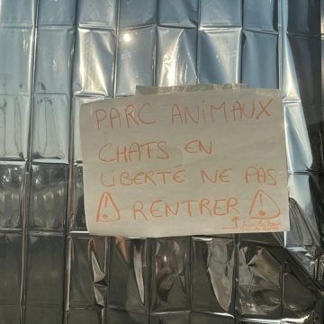 e7cf41cc-7ab4-4535-9438-2c5eefe1ef7c La Situation des Réfugiés et de Leurs Animaux au Parc des Expositions de Bordeaux