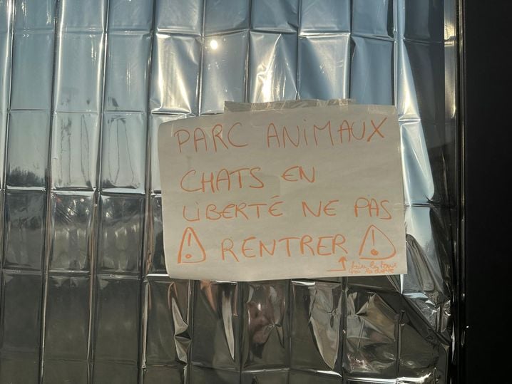 e7cf41cc-7ab4-4535-9438-2c5eefe1ef7c La Situation des Réfugiés et de Leurs Animaux au Parc des Expositions de Bordeaux