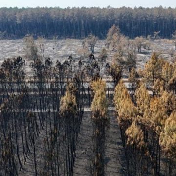 e851fc25-dae6-4ce2-a035-ee63b43ad087 Incendies et canicule dans le sud-ouest de la France : la situation en détail