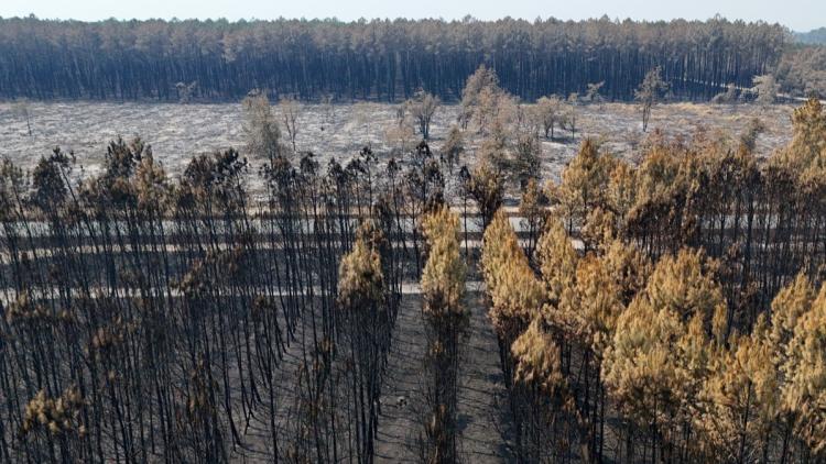 e851fc25-dae6-4ce2-a035-ee63b43ad087 Incendies et canicule dans le sud-ouest de la France : la situation en détail