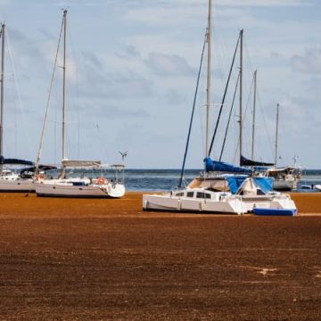 Crise de l&rsquo;eau en Guadeloupe en 2026 : Causes et Impacts