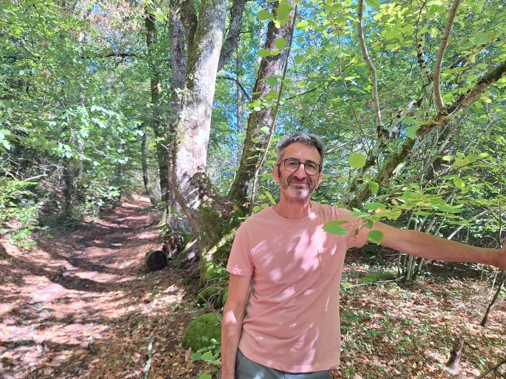 ee11aa4c-c4aa-4dbd-882e-d771ec7ae0bf Gestion des forêts face au changement climatique