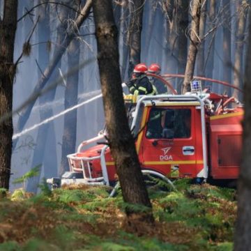 ee2e3012-796b-4074-853f-6c73e0977c27 Situation des incendies et mesures prises