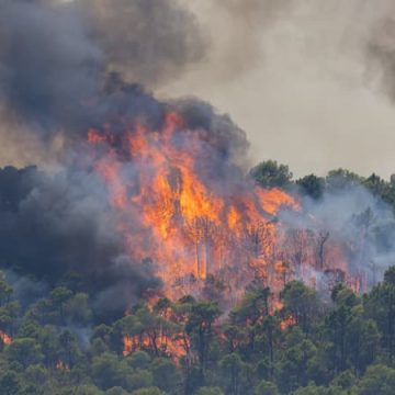 f025674d-fea5-4c9e-a3b2-8e0b943399e3 Progression de l’incendie dans le Var : efforts et défis des pompiers