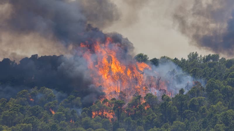 f025674d-fea5-4c9e-a3b2-8e0b943399e3 Progression de l’incendie dans le Var : efforts et défis des pompiers
